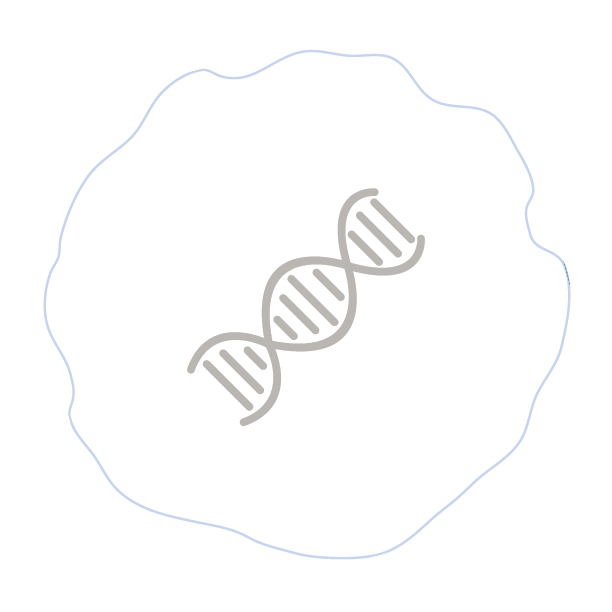 icon-template-dna